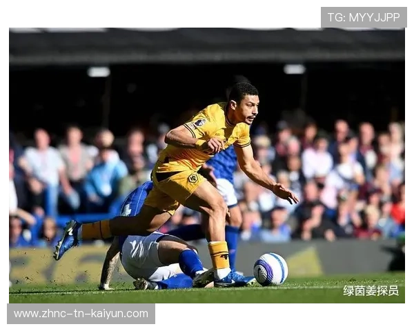 法甲快节奏,教练点评战术变革,法甲介绍 法甲快节奏,教练点评战术变革,法甲介绍