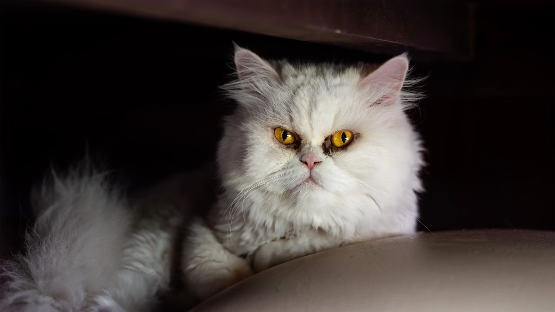 开云体育官网在线-中超球队边后卫技术特长与战术分工对比，中超边前卫