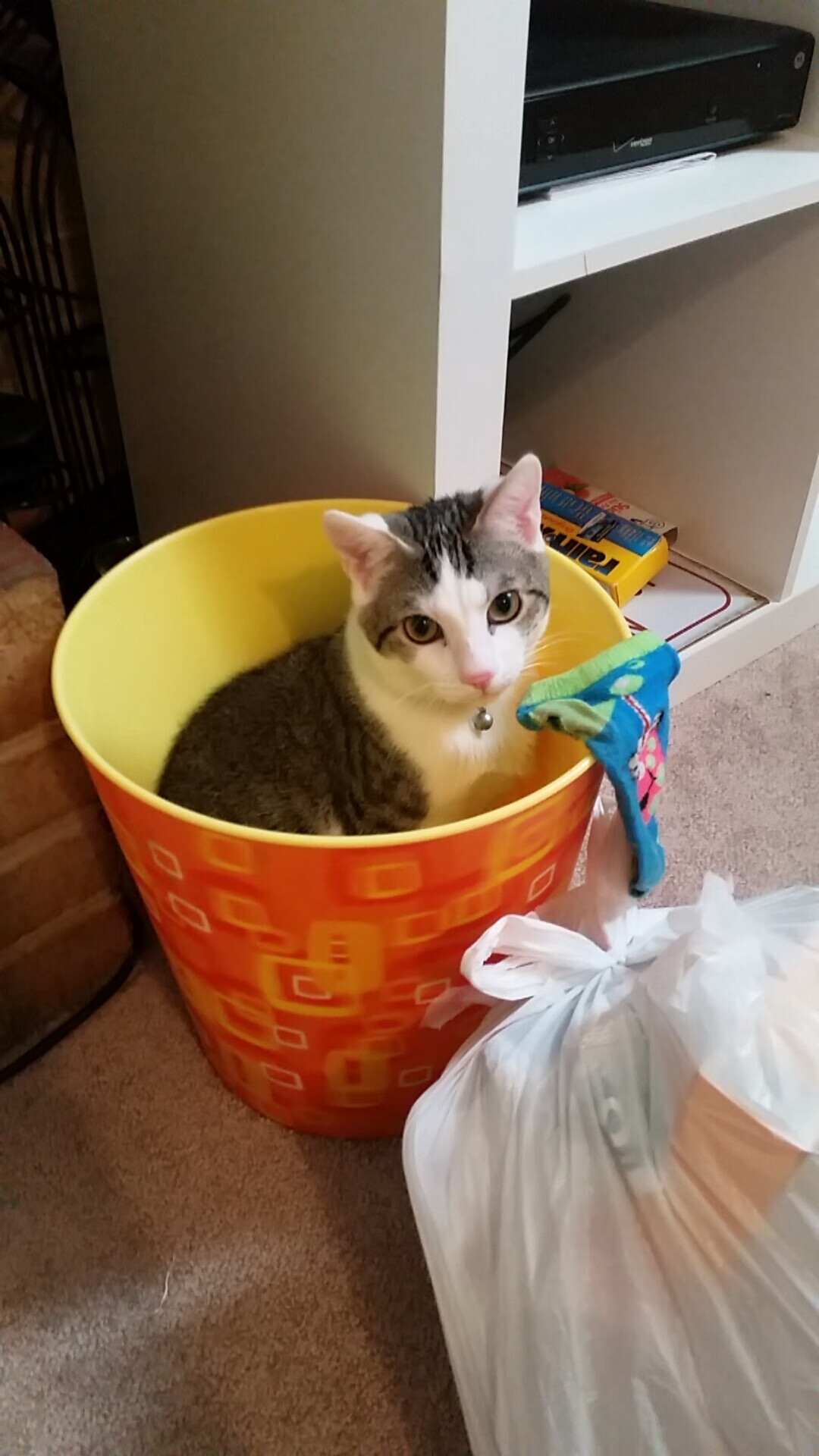 德甲“战火升级”:多特蒙德与勒沃库森争夺第4名