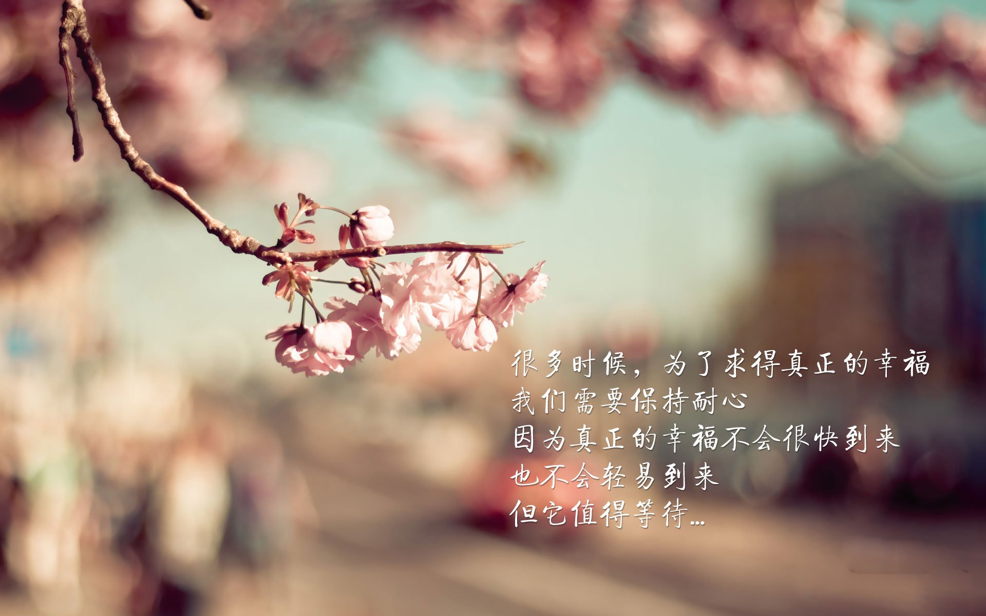 意甲青训中心采用动态情绪测评系统优化训练反馈机制