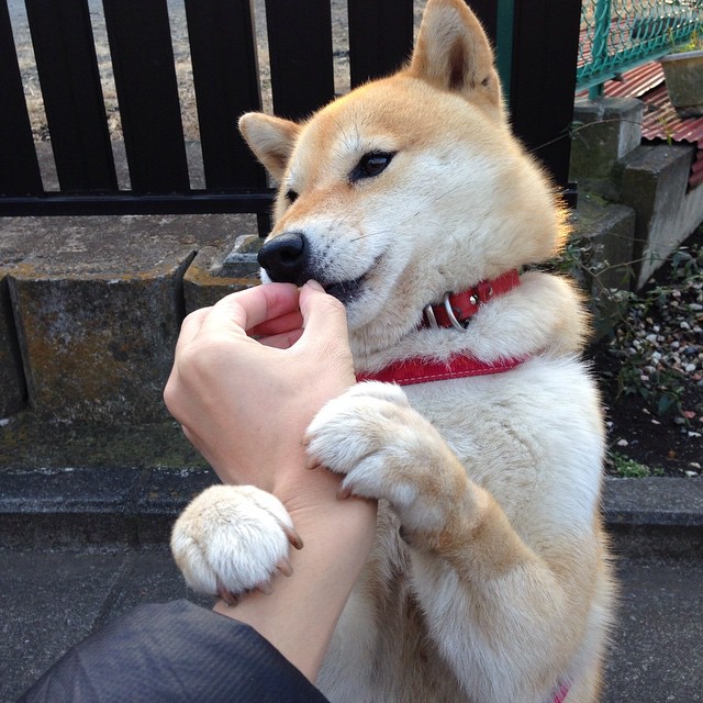 开云体育官网app-西甲“争冠大戏”：皇马VS巴萨，世纪大战火花四射