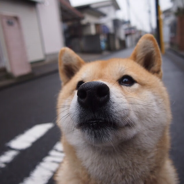 CBA联赛联合科技企业开展运动研究,cba运作模式