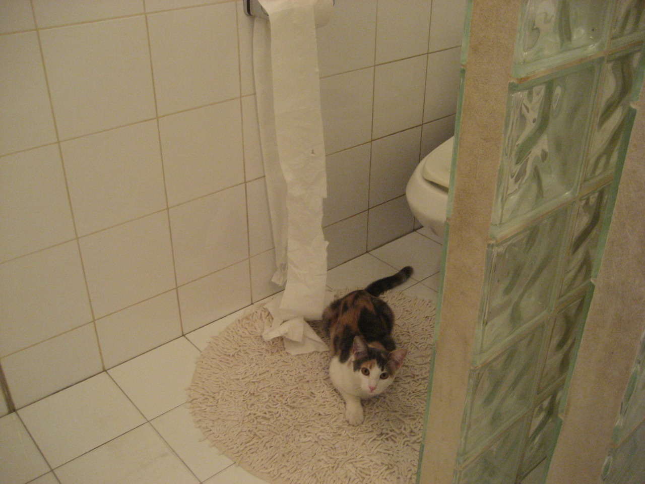 体育新闻中心发布体育内容版权纠纷解决方案，体育新闻侵权