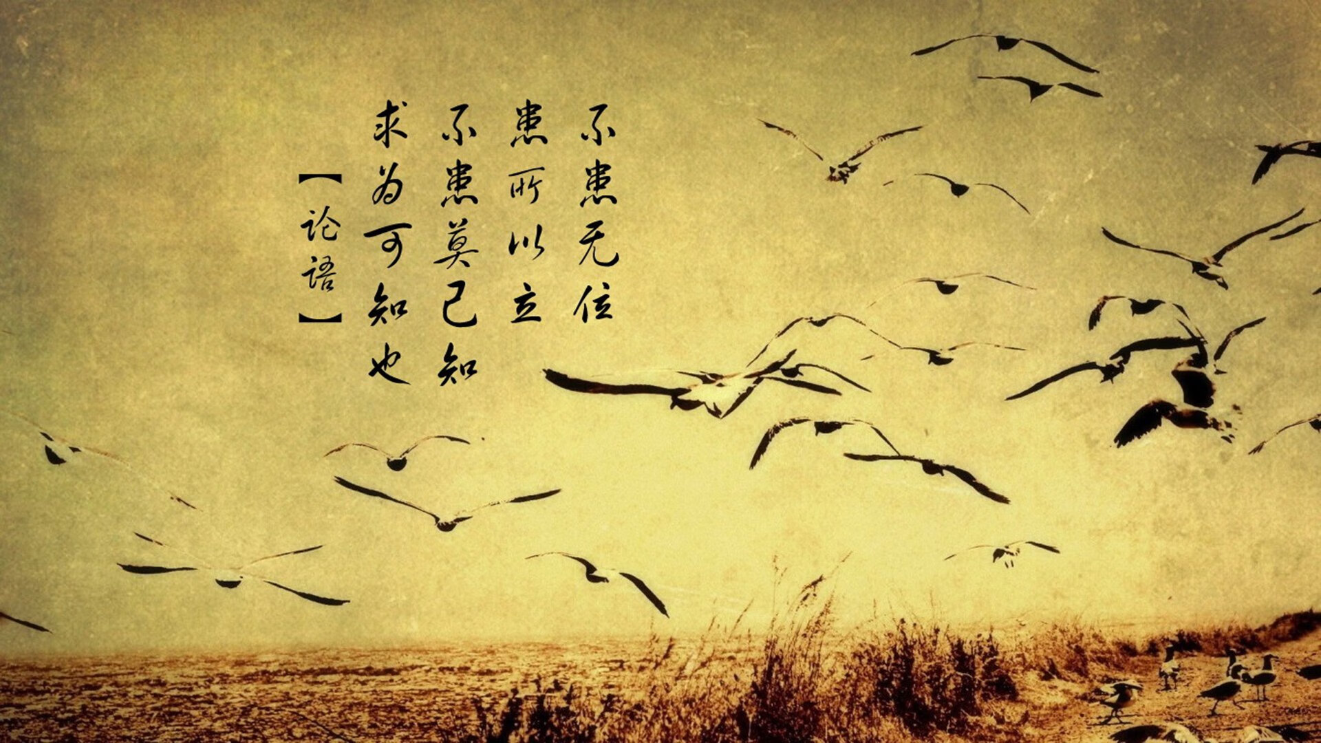 开云体育app官网-乌拉圭男篮在南美锦标赛中持续高光，梦想奥运舞台，乌拉圭男篮nba球员