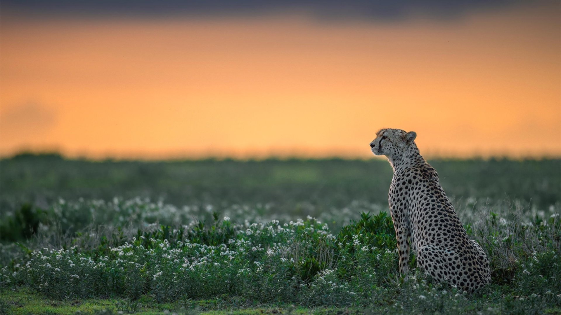 凯特·道格拉斯坚持训练终见成效,j道格拉斯凯尼恩简介