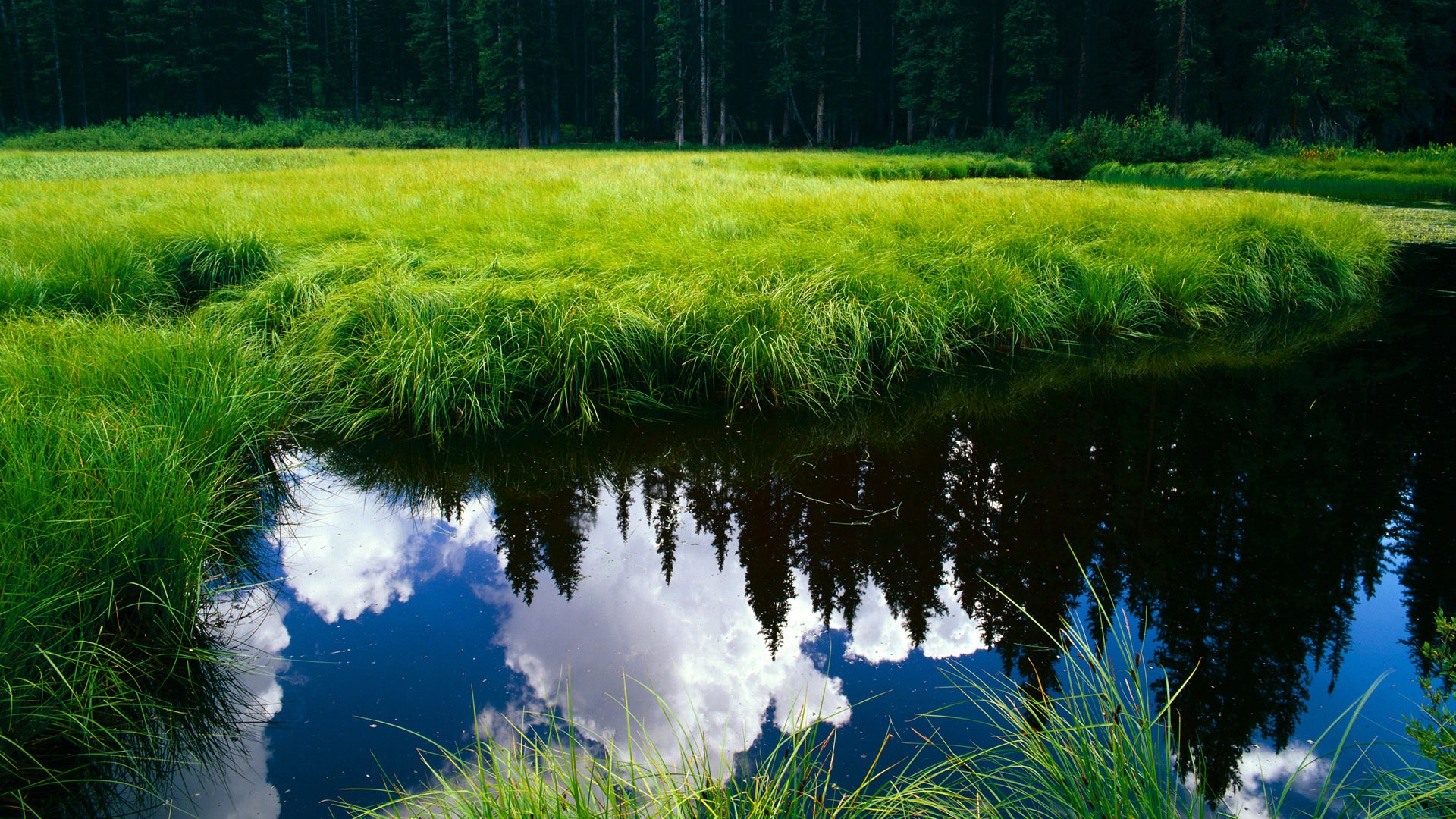 开云体育在线登入-麦肯齐：全黑队的“快马”，突破防线的致命武器