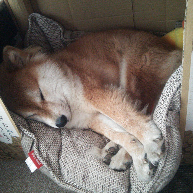 开云官方网-1451亿王传福，巴菲特为何“说再见”？