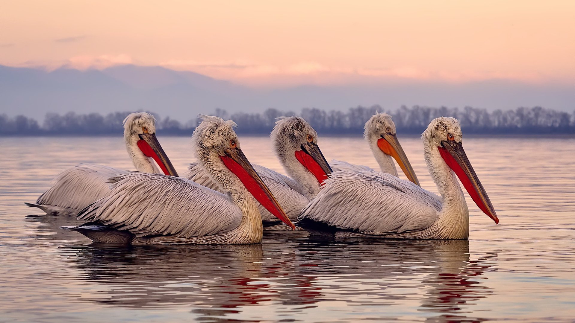 开云体育网站-中国篮球是否推动篮球运动向更多年龄段普及，我国篮球的现状
