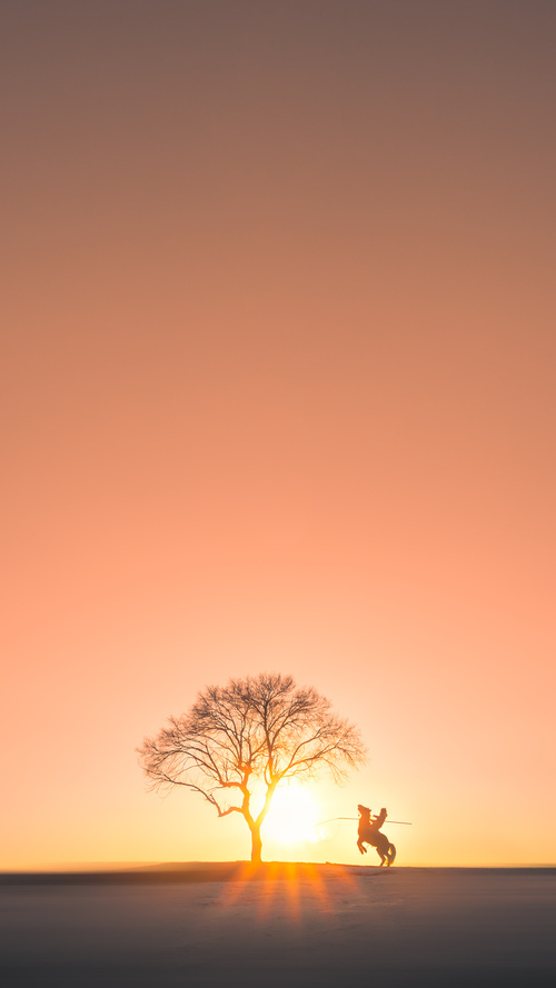 中国足球俱乐部人才引进策略调整，中国足球人才储备