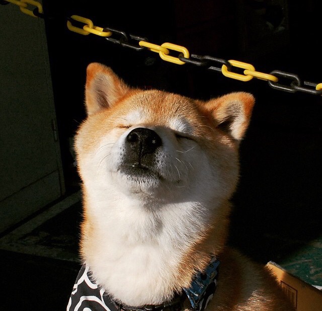 开云体育-为什么中国要对美墨碧根果反倾销调查？