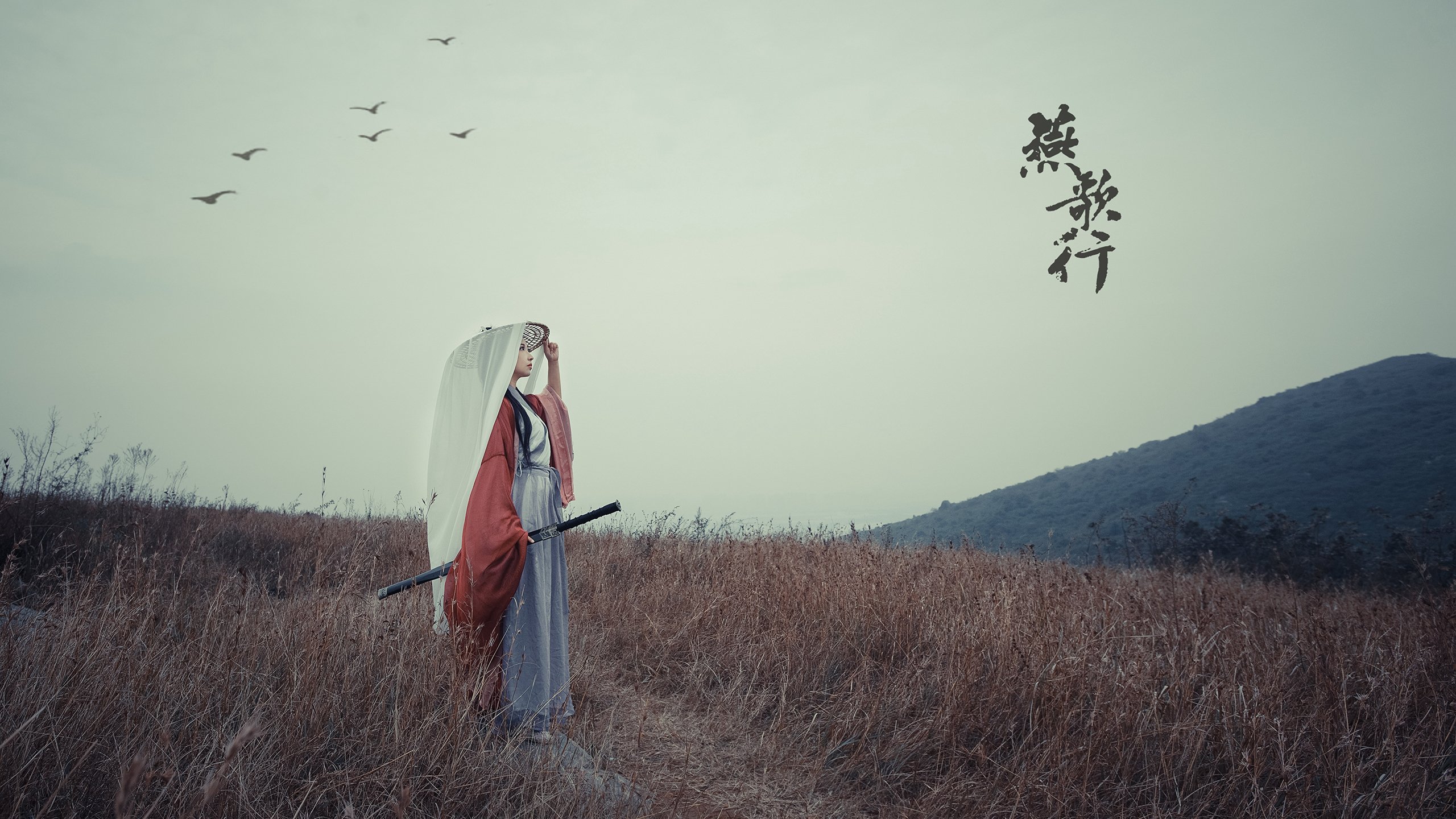 加拿大七人制橄榄球比赛精彩对抗引发关注,七人制橄榄球队